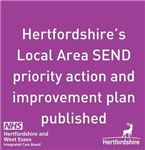 Priority Action Plan published