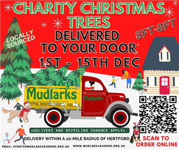 Mudlarks Charity Christmas Trees flyer