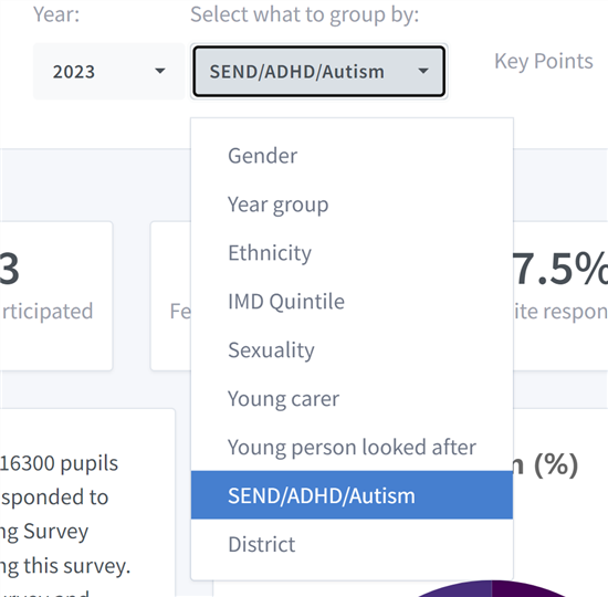 An example of how to find data relating to young people with SEND/ autism/ ADHD in the dashboard
