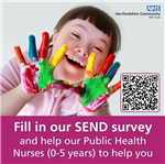 Public Health Nurse survey