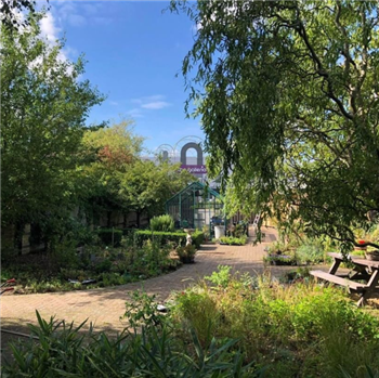 A view of the garden at Potential Kids