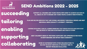 SEND Strategy ambitions